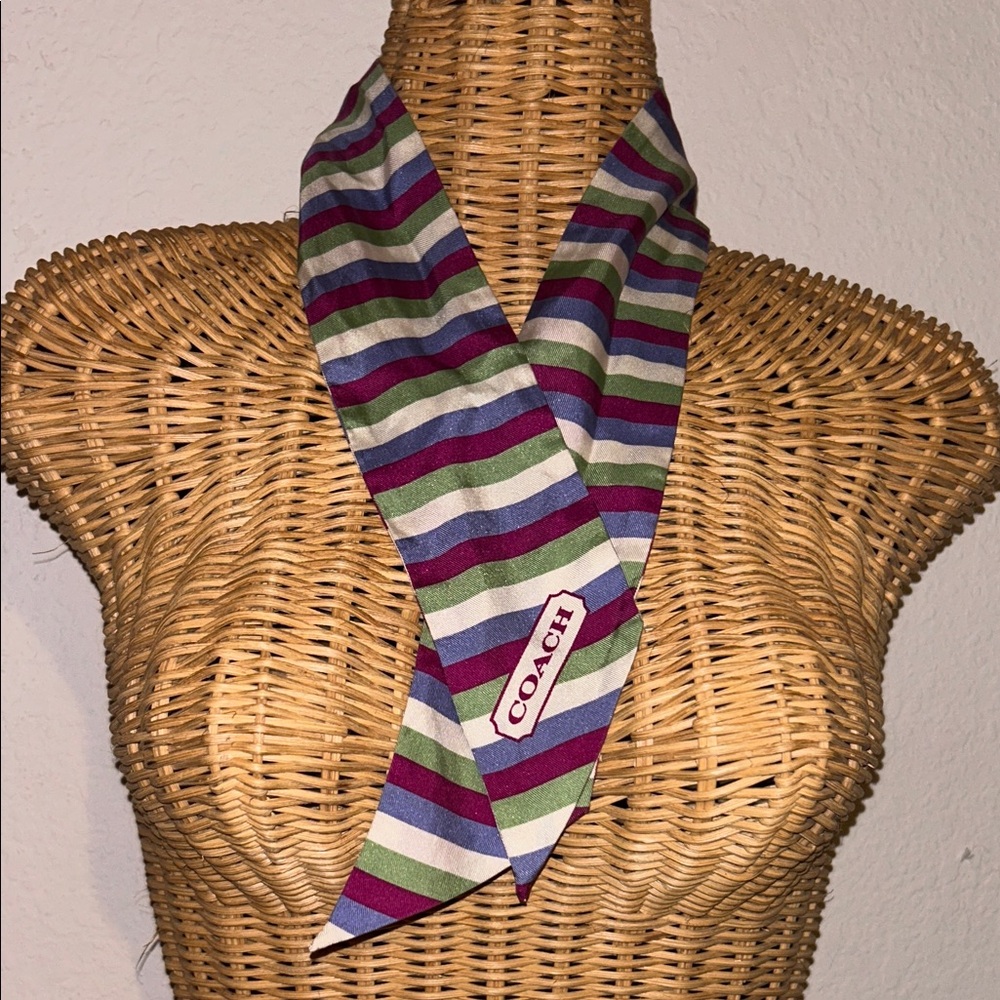 Coach Multicolor Striped Scarf